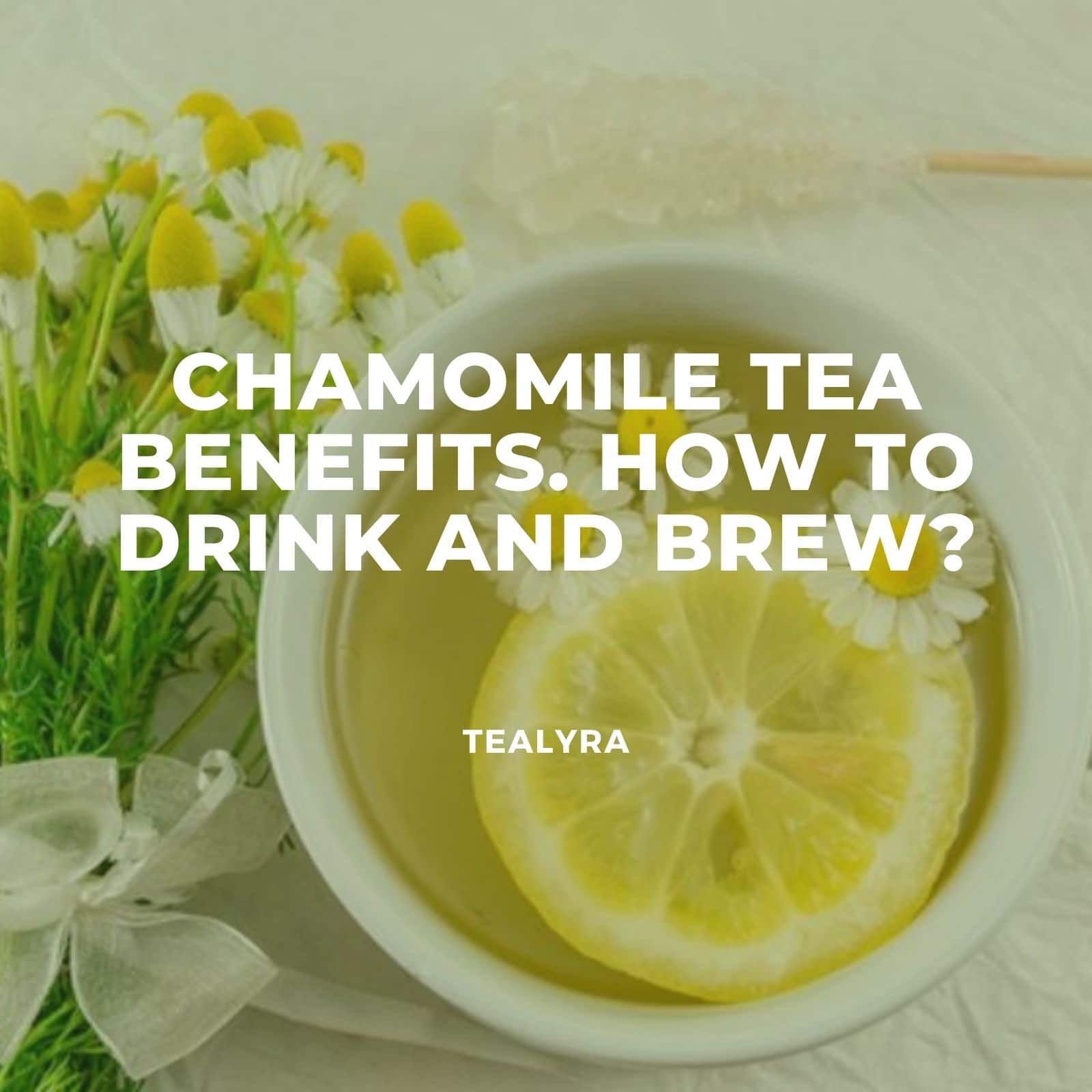 Chamomile tea benefits. How to drink and brew?