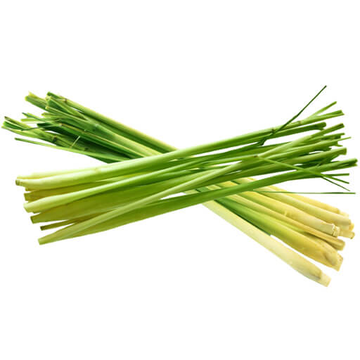 Lemongrass