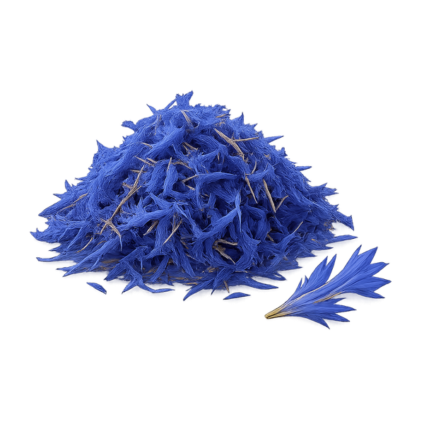 Cornflower