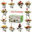 Glass Teapot + 12 Blooming Tea Gift Set