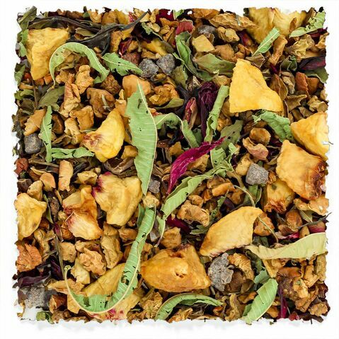 Pfirsich Pfingstrose