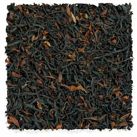 Wild Ancient Tree Negro