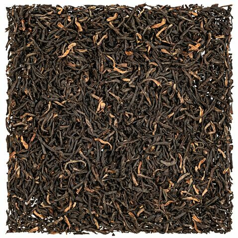 Assam Khagorijan Fort