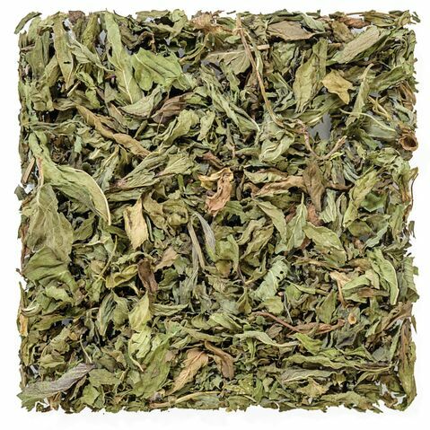 Menthe de la Côte Pacifique