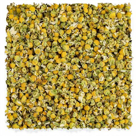 Egyptian Chamomile