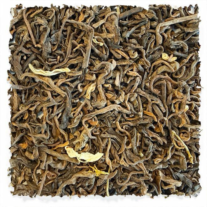 Jasmine Pu'erh