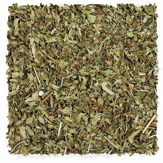 Moroccan Spearmint