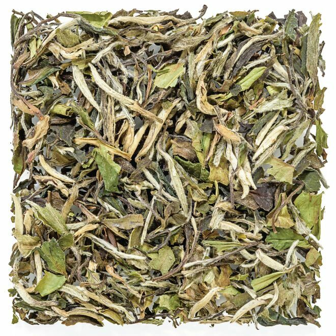 Pai Mu Tan White Peony